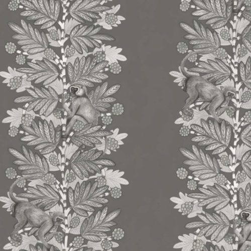 Acacia 109-11055